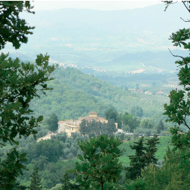 Wine Factory in Tuscany